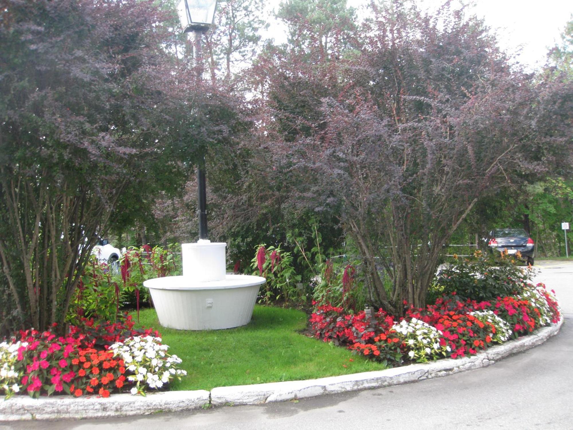 Glynmill Inn Corner Brook Exterior photo